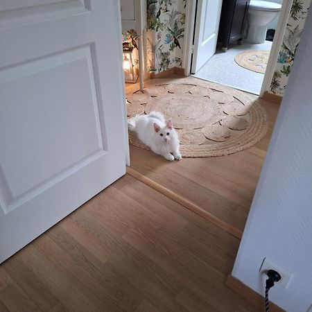 Chambre Climatisee Au Coeur De Brive Avec Televiseur Connecte Wifi Netflix Exterior foto