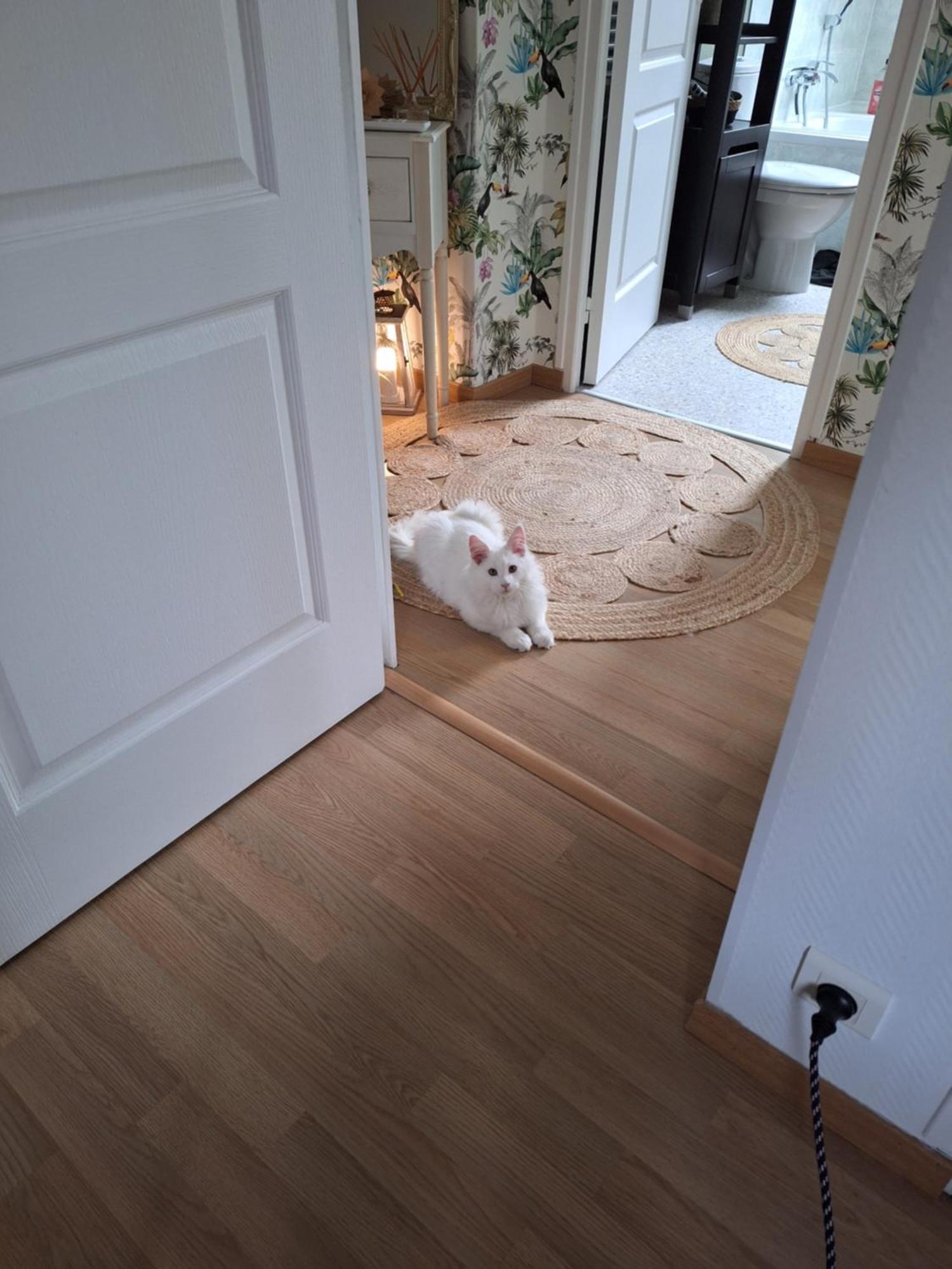 Chambre Climatisee Au Coeur De Brive Avec Televiseur Connecte Wifi Netflix Exterior foto